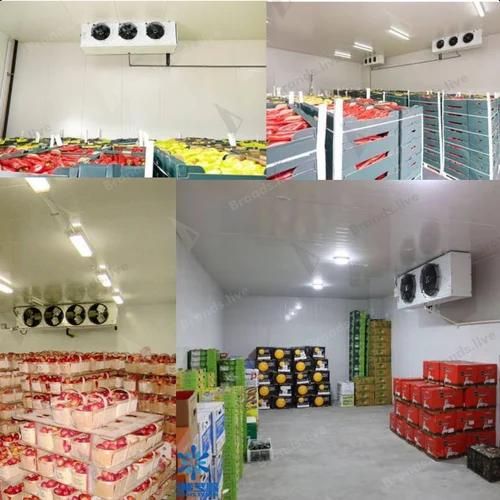 Mushroom Growing Chamber Manufacturers in Indore